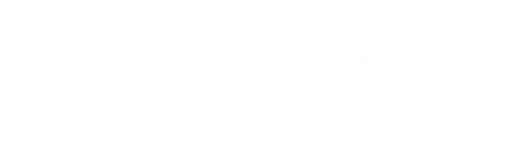 Pine Valley Investments logo