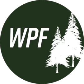 White Pine Financial LLC logo