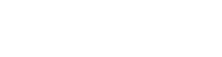 Aries Financial Navigators, Inc. logo