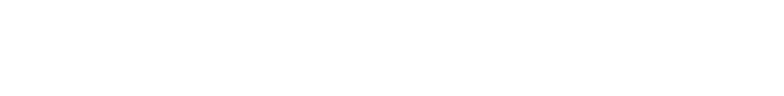 Nixon Capital LLC logo