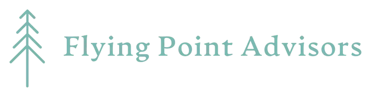 Flying Point Advisors logo