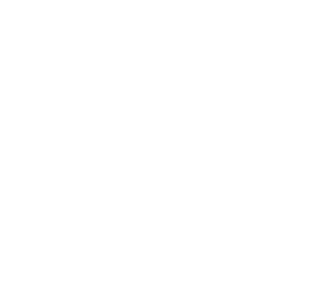 Svane Capital, LLC logo