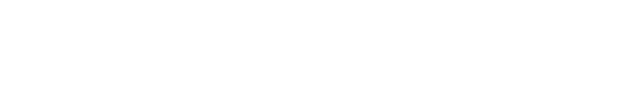 Shamrock Financial Services logo