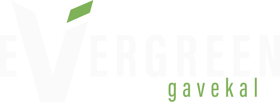 Evergreen Capital Management LLC logo