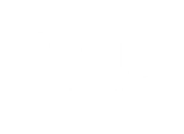 RNS Wealth Management, LLC logo