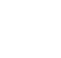 Lavish Financial Planning logo