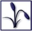 Ceres Financial Group, Inc. logo