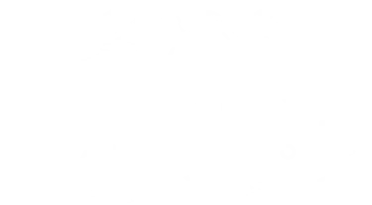 Bulman Wealth Group logo