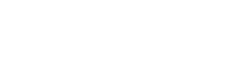 MSM Financial, LLC logo