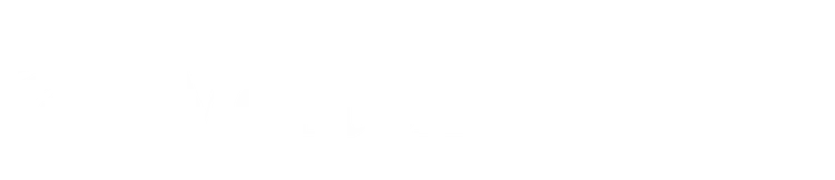 Vertex Partners logo