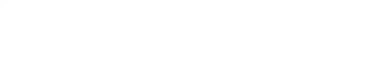 Endurance Financial Group logo