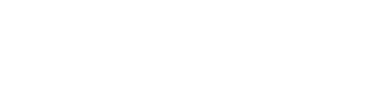 Steward Partners Investment Advisory, LLC logo