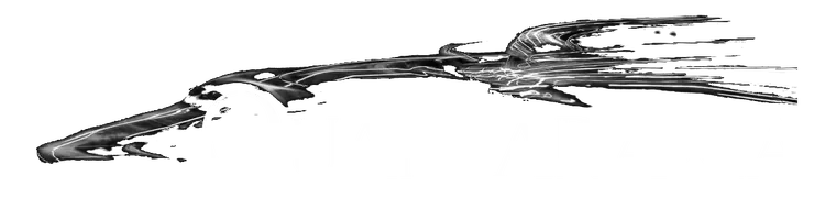 Quantaraxia LLC logo