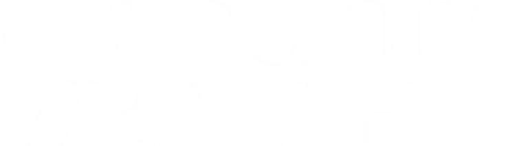 Conscious Wealth Investments, LLC logo