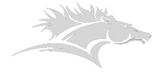 Black Horse Wealth Management logo