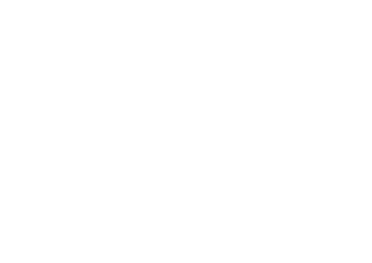 Walleye Partners LLC logo