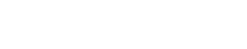 Fnex Wealth, LLC logo
