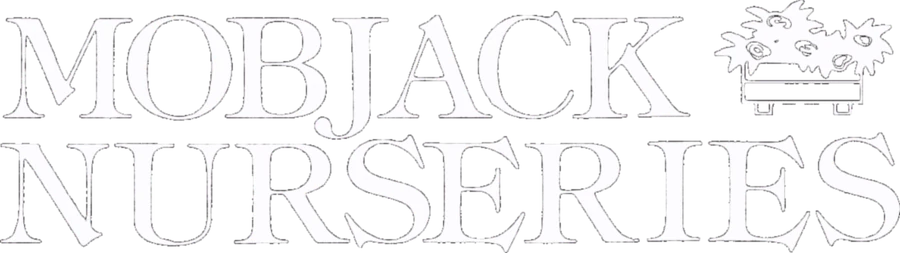 Mobjack Investments logo