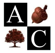 Acorn Capital Partners, LLC logo
