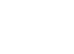 Wolfgang Capital logo