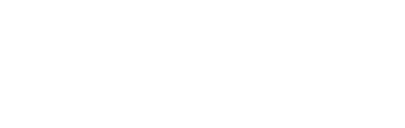 Wellington Shields Capital Management, LLC logo