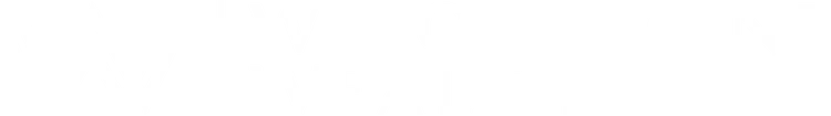 Wrightpoint Wealth logo