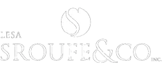 Lesa Sroufe & Company, Inc. logo