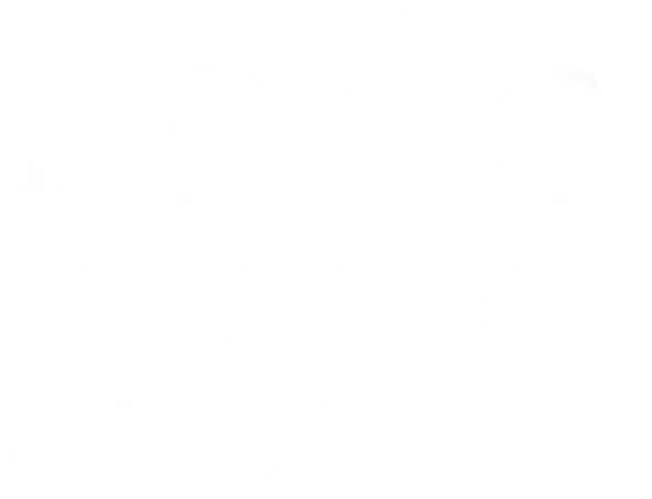 Pavlic Investment Advisors, Inc. logo