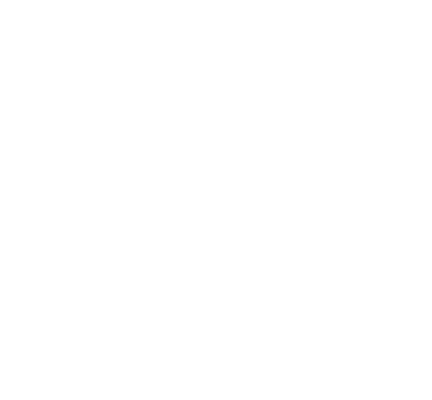 Brodie Wealth Management logo