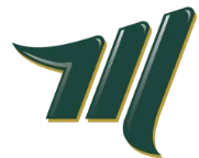 Mattson Financial Services, LLC logo
