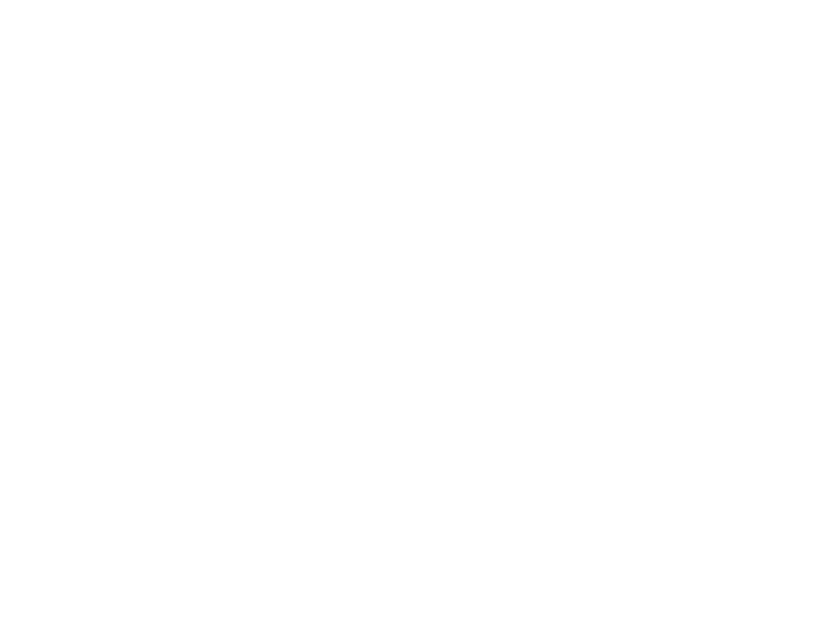 OAK Maple Finance, LLC logo