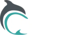 Dolphin Financial Group logo