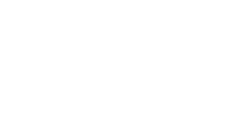 Timmons Wealth Management logo