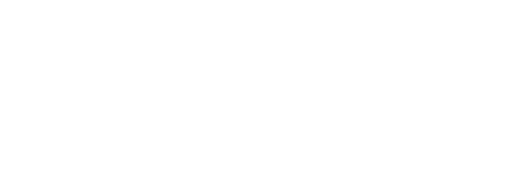 DO Wealth Different logo