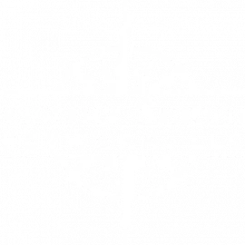 Advisory Services Network logo