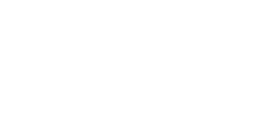PAX Financial Group logo
