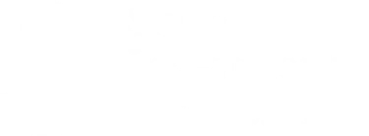 Skiver Investment Services logo
