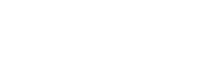 Lucidity Wealth Advisors Inc. logo