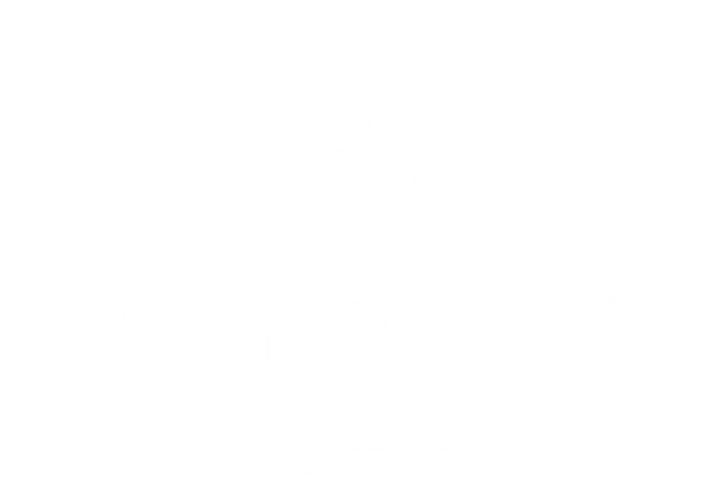 Stonewealth Advisors, LLC logo