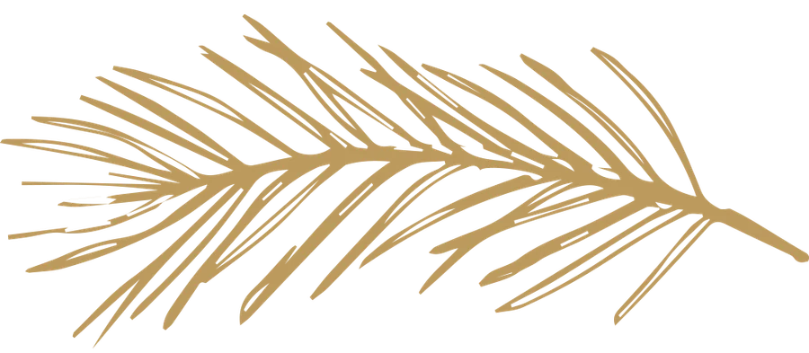 Alpine Private Wealth logo