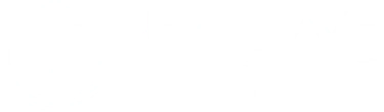 Nextwave Advisors logo