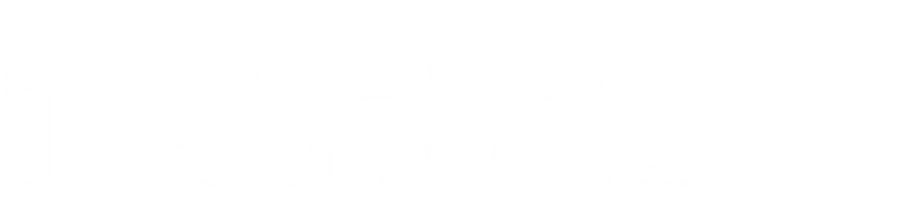 Triton Wealth Management, Pllc logo