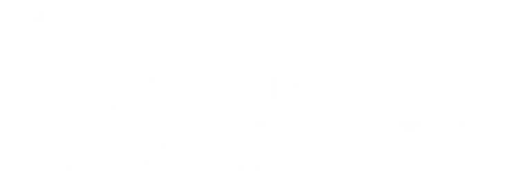 1ST Discount Brokerage, Inc. logo