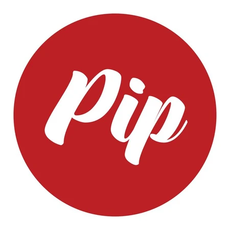 PIP Capital & Consulting, LLC logo