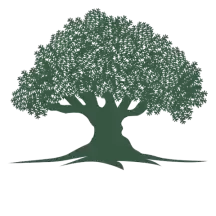 Turner Financial logo