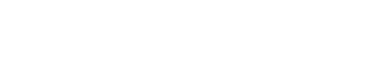 Magpie Consulting LLC logo