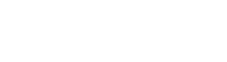 Monarch Wealth Strategies logo