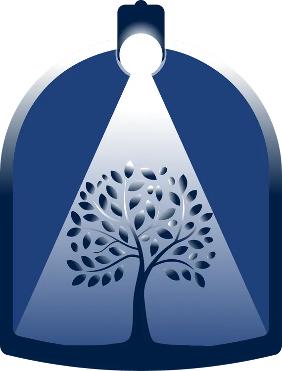Center Stage Planning LLC logo