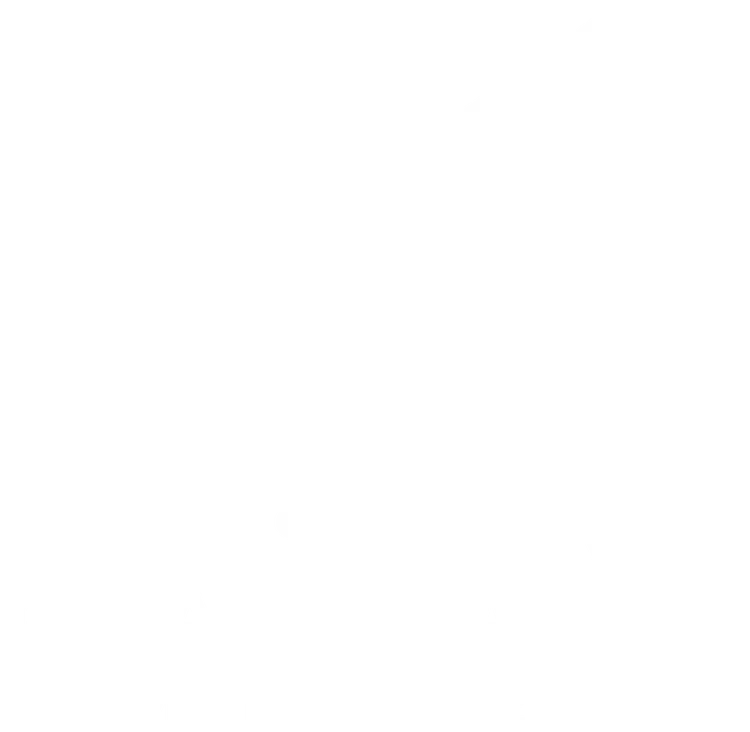 V-Square Quantitative Management logo
