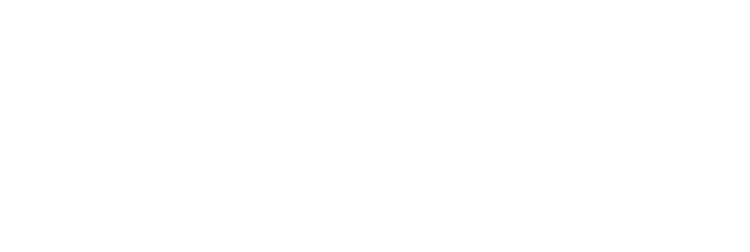 Castleview Partners, LLC logo